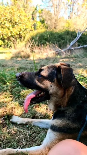 #roco