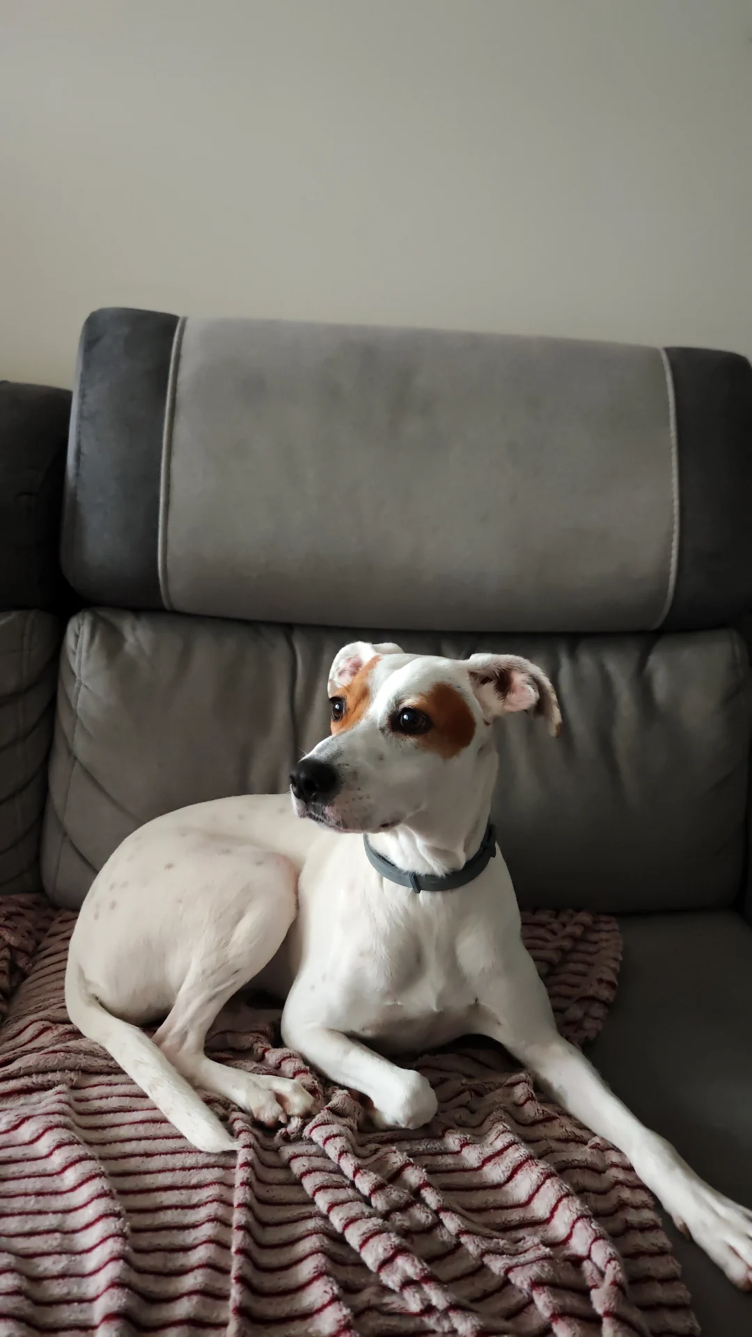 #luna