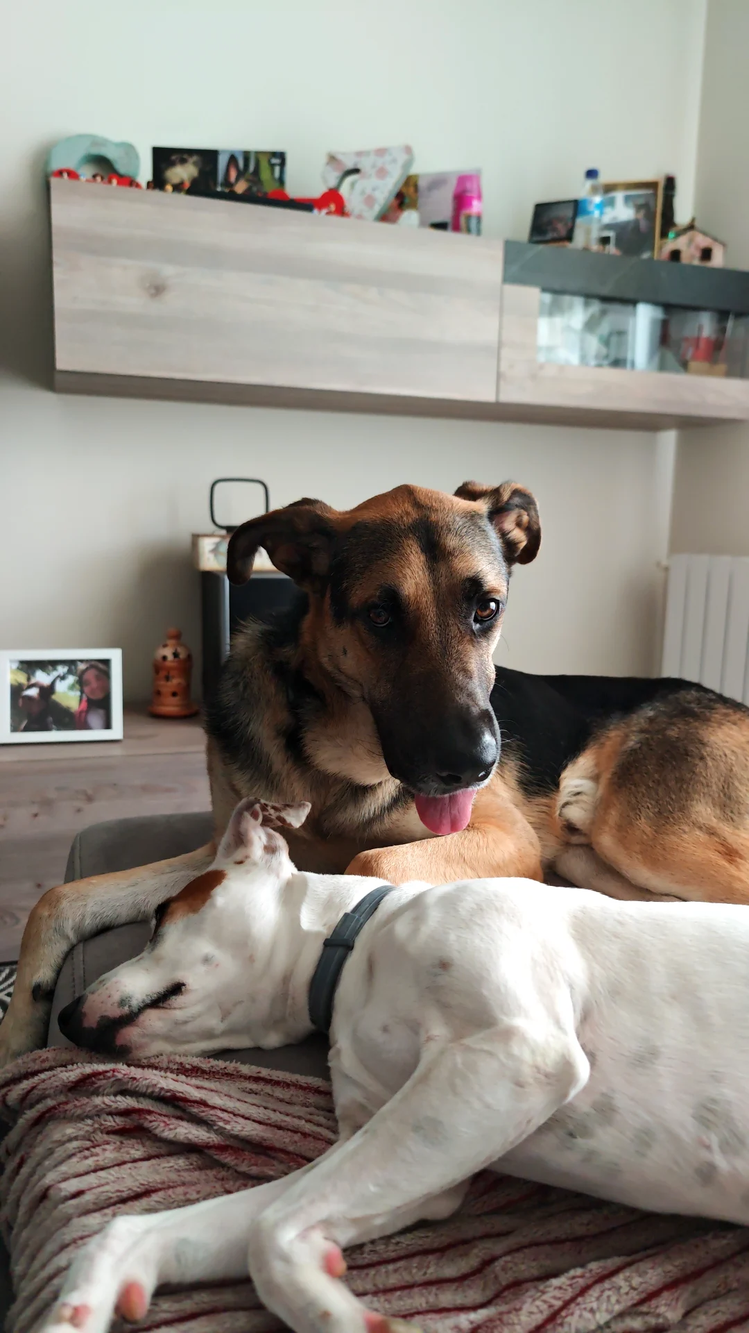 #luna